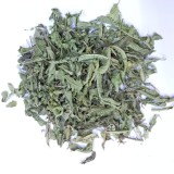 Lemon Verbena