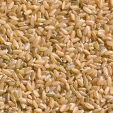 Brown Rice