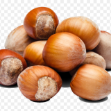 Hazelnut InShell