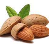 Almond In Shell