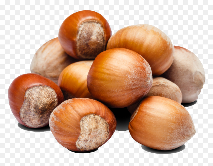 Hazelnut InShell