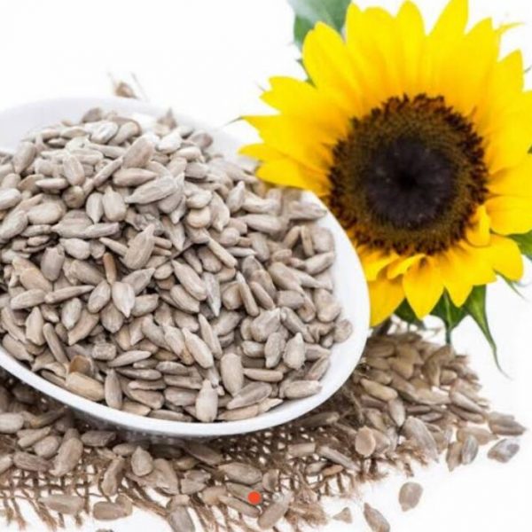 Sunflower Kernels