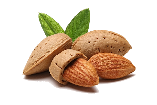 Almond In Shell